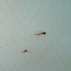 https://cdn-ostrovok-ru-ion.test.edgekey.net/t/100x100/hotel_review/76/24/7624907d3db76c0df05624721bc7686fd9ff728f.jpeg