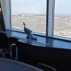 https://cdn-ostrovok-ru-ion.test.edgekey.net/t/100x100/hotel_review/76/4f/764fb6587758a541213e04e9c8388b8ee73bedbe.JPEG