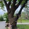 https://cdn-ostrovok-ru-ion.test.edgekey.net/t/100x100/hotel_review/76/5c/765c46dbd77b16a160fd91af9dd209f5d0c967ee.JPEG