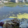 https://cdn-ostrovok-ru-ion.test.edgekey.net/t/100x100/hotel_review/76/78/767889f7ce86550cd34b424d16cbd308b51a3250.JPEG