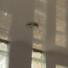 https://cdn-ostrovok-ru-ion.test.edgekey.net/t/100x100/hotel_review/76/b4/76b40ccbe6eb5980a20fdf2a529b45d82f13bb3d.JPEG