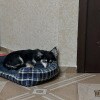 https://cdn-ostrovok-ru-ion.test.edgekey.net/t/100x100/hotel_review/76/ff/76ff7a09048b6c068c28cf3f3c07feae61e6b1c5.JPEG