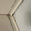 https://cdn-ostrovok-ru-ion.test.edgekey.net/t/100x100/hotel_review/77/54/77548c52d04c0b88d3de9fbf4c39c8c81fd18ed9.JPEG