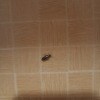 https://cdn-ostrovok-ru-ion.test.edgekey.net/t/100x100/hotel_review/77/58/77586e6ec8459c497b304285084f6b97655f783b.jpeg
