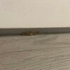 https://cdn-ostrovok-ru-ion.test.edgekey.net/t/100x100/hotel_review/77/59/7759e0b709b0ec14d410e5603a53187420614361.JPEG
