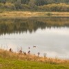 https://cdn-ostrovok-ru-ion.test.edgekey.net/t/100x100/hotel_review/77/cb/77cb40f4ca03375b034780930455a49ed593bf9d.JPEG