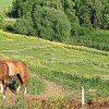 https://cdn-ostrovok-ru-ion.test.edgekey.net/t/100x100/hotel_review/78/29/782982b6cd4476c99814ca9d704644557a2fbb20.jpeg