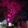 https://cdn-ostrovok-ru-ion.test.edgekey.net/t/100x100/hotel_review/78/89/78894ae0b0d50ecb06d6db751e9626c7991bb3e8.JPEG