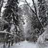 https://cdn-ostrovok-ru-ion.test.edgekey.net/t/100x100/hotel_review/78/90/7890117edb7cb3494b0c924465691f921cf89a5a.JPEG