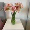 https://cdn-ostrovok-ru-ion.test.edgekey.net/t/100x100/hotel_review/78/ce/78cec9b0e24ce5ac3207adebccd1dc14f5d11aea.JPEG