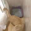 https://cdn-ostrovok-ru-ion.test.edgekey.net/t/100x100/hotel_review/79/22/7922f08ee855c2f3807f062a4263032659c46e10.JPEG