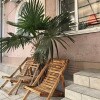 https://cdn-ostrovok-ru-ion.test.edgekey.net/t/100x100/hotel_review/79/55/7955381ffc4202e50d9d3ddac12471d53598b465.JPEG