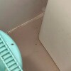 https://cdn-ostrovok-ru-ion.test.edgekey.net/t/100x100/hotel_review/79/5a/795a767a81593ad55401b486388ae99b9b8f186e.JPEG