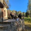 https://cdn-ostrovok-ru-ion.test.edgekey.net/t/100x100/hotel_review/79/5e/795e50fcd87a71297f959d862112f1c8cf2cf5d4.JPEG