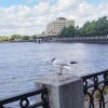 https://cdn-ostrovok-ru-ion.test.edgekey.net/t/100x100/hotel_review/79/68/796884fd2f2adbd6d2691a6cb5435e47fcf32a9a.JPEG