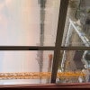 https://cdn-ostrovok-ru-ion.test.edgekey.net/t/100x100/hotel_review/79/bd/79bd0808c70cd96b395669c1149fbaaf984e60cf.JPEG