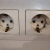 https://cdn-ostrovok-ru-ion.test.edgekey.net/t/100x100/hotel_review/79/cb/79cb6c65d6ad20ca354f1204378ce470248d6967.JPEG