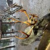 https://cdn-ostrovok-ru-ion.test.edgekey.net/t/100x100/hotel_review/7a/05/7a05f300f3553cc70164c3317481e58b8c579a20.JPEG