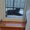 https://cdn-ostrovok-ru-ion.test.edgekey.net/t/100x100/hotel_review/7a/4f/7a4f2bea5107b0ea51445cf1c2d526ff050db6b5.JPEG