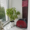 https://cdn-ostrovok-ru-ion.test.edgekey.net/t/100x100/hotel_review/7a/8a/7a8a2086457b3e66bd63646c09001c56c4a10da8.JPEG