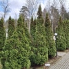 https://cdn-ostrovok-ru-ion.test.edgekey.net/t/100x100/hotel_review/7a/bd/7abd5df19dddc7d87a33ed705baae9ed6c8e6a6e.JPEG