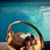 https://cdn-ostrovok-ru-ion.test.edgekey.net/t/100x100/hotel_review/7a/ed/7aed12118dcb26654fde62f84f4d1511ad3013c6.JPEG