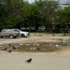 https://cdn-ostrovok-ru-ion.test.edgekey.net/t/100x100/hotel_review/7b/02/7b02d0bc122e0caa2e80228dd6be0bd3074ef00b.JPEG