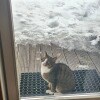 https://cdn-ostrovok-ru-ion.test.edgekey.net/t/100x100/hotel_review/7b/17/7b17606ec5ac7e680fb7a94db3a2bb78f3e417ef.JPEG