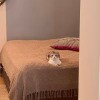 https://cdn-ostrovok-ru-ion.test.edgekey.net/t/100x100/hotel_review/7b/3f/7b3fb0057a01ac636942e80a1c887a8e0f4ebb02.JPEG