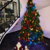 https://cdn-ostrovok-ru-ion.test.edgekey.net/t/100x100/hotel_review/7b/94/7b94138dd2e1803a420eedd69d3f3464374e0427.JPEG