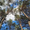https://cdn-ostrovok-ru-ion.test.edgekey.net/t/100x100/hotel_review/7b/d0/7bd0d31de638f88d6ce5a55cea407bb6b4db0228.JPEG