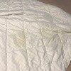 https://cdn-ostrovok-ru-ion.test.edgekey.net/t/100x100/hotel_review/7b/d8/7bd80179600ae77846f42179f1f40a1b3e19228e.JPEG