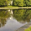 https://cdn-ostrovok-ru-ion.test.edgekey.net/t/100x100/hotel_review/7b/f6/7bf6058272ea989c0862b94516ed63456e1f95a9.JPEG