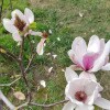 https://cdn-ostrovok-ru-ion.test.edgekey.net/t/100x100/hotel_review/7b/fe/7bfe996d70fdd8f022a174533d985552b6f0a60b.JPEG