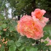 https://cdn-ostrovok-ru-ion.test.edgekey.net/t/100x100/hotel_review/7c/22/7c22814a24de71e6cd7969baf504fc0d74d274e8.JPEG