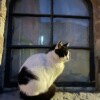 https://cdn-ostrovok-ru-ion.test.edgekey.net/t/100x100/hotel_review/7c/59/7c5910d3fb95cf43377c3bcf52383eb06131ebfe.JPEG