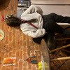 https://cdn-ostrovok-ru-ion.test.edgekey.net/t/100x100/hotel_review/7c/87/7c8741388cbb3a07687e55b76dd155a3bb7aab89.JPEG
