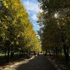 https://cdn-ostrovok-ru-ion.test.edgekey.net/t/100x100/hotel_review/7c/ed/7cede2679da7848befd7af656375ed947fa492fb.jpeg