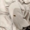 https://cdn-ostrovok-ru-ion.test.edgekey.net/t/100x100/hotel_review/7c/fa/7cfabd7157110da05ecb1e6935d0c34c07528e06.JPEG