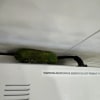 https://cdn-ostrovok-ru-ion.test.edgekey.net/t/100x100/hotel_review/7d/0e/7d0ee702066b13598d5dd6360f307ab398e1bb55.JPEG