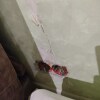 https://cdn-ostrovok-ru-ion.test.edgekey.net/t/100x100/hotel_review/7d/0f/7d0fb7a9baca5122098402331328135541a0a9c2.JPEG