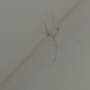https://cdn-ostrovok-ru-ion.test.edgekey.net/t/100x100/hotel_review/7d/18/7d18097d2fc01458361a011c769128c88ce2a217.JPEG