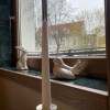 https://cdn-ostrovok-ru-ion.test.edgekey.net/t/100x100/hotel_review/7d/58/7d58f75149d951757a02421ee0bbd93cfef6864d.JPEG