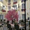 https://cdn-ostrovok-ru-ion.test.edgekey.net/t/100x100/hotel_review/7d/71/7d71fdf1779aa6dc9590fde04d77248fd17a1016.JPEG
