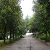 https://cdn-ostrovok-ru-ion.test.edgekey.net/t/100x100/hotel_review/7d/ac/7dac231415aa26c2d7f22e1aeaf8514e85c242fe.JPEG