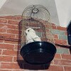 https://cdn-ostrovok-ru-ion.test.edgekey.net/t/100x100/hotel_review/7e/33/7e33dd1d44050e9e46fb21d6f765b1c49303b706.jpeg