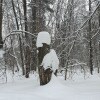 https://cdn-ostrovok-ru-ion.test.edgekey.net/t/100x100/hotel_review/7e/4a/7e4a2f91bc33b0747e206dbf6722d745b9ac74c4.JPEG