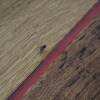 https://cdn-ostrovok-ru-ion.test.edgekey.net/t/100x100/hotel_review/7e/63/7e6318b48c7664a491231b3dddffc20244d82921.JPEG