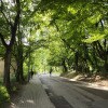 https://cdn-ostrovok-ru-ion.test.edgekey.net/t/100x100/hotel_review/7e/66/7e6671b333cdfd2703f7c41d39b3ac2f5bb5d078.JPEG