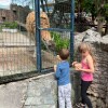 https://cdn-ostrovok-ru-ion.test.edgekey.net/t/100x100/hotel_review/7e/a8/7ea8c1090c462a5baf7b4b81b3ec0bfc44dfc105.JPEG